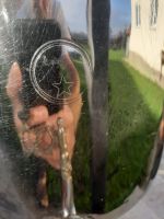 Лот: 23534478. Фото: 3. самовар угольный. Коллекционирование, моделизм