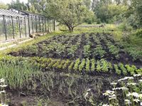 Лот: 25713572. Фото: 5. 4-комн. дача , СНТ Вега СНТ Вега...