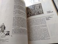 Лот: 11264889. Фото: 16. В поисках первоначал, Анатолий...