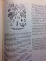 Лот: 6180986. Фото: 2. Атлас лекарственных трав. Медицина и здоровье