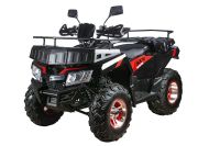 Лот: 20623414. Фото: 3. Квадроцикл RATO 200 LD LUXE. Авто, мото, водный транспорт