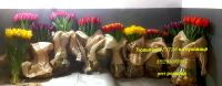 Лот: 12953554. Фото: 4. Тюльпаны оптом на луковице мимоза. Красноярск
