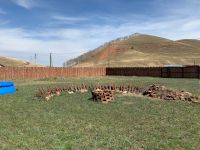 Лот: 13792744. Фото: 3. участок за Дрокино. Недвижимость