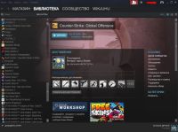 Лот: 11406120. Фото: 4. Steam аккаунт с играми CS Go... Красноярск