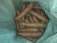 Лот: 16522841. Фото: 2. Морковь, свекла. Продукты