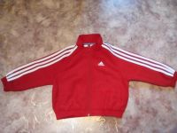 Лот: 7295293. Фото: 3. Спортивный костюм Adidas. Дети растут