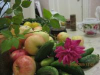 Лот: 5955141. Фото: 5. роза малиновая комнатная