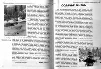 Лот: 7143041. Фото: 2. Книга "Неповторимый вкус сибирской... Антиквариат