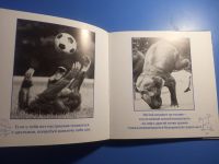 Лот: 20228423. Фото: 4. Бредли Тревор Грив Когда тебе... Красноярск