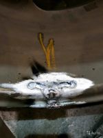 Лот: 14755210. Фото: 9. Шиномонтаж! Правка дисков! Ремонт...