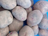 Лот: 14396119. Фото: 2. Картофель из деревни. Семенной... Продукты