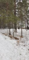 Лот: 25297877. Фото: 10. участок , ДНТ Фортуна ДНТ Фортуна...