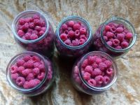 Лот: 11839957. Фото: 2. Малина (цена за 5 литров+ бесплатная... Продукты