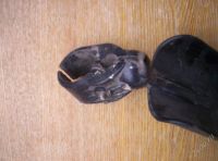 Лот: 1823700. Фото: 2. Крыло заднее с креплением и пофиг... Велоспорт