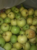 Лот: 12119013. Фото: 3. Яблоки ранетки очень вкусные. Красноярск