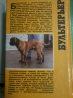 Лот: 7042489. Фото: 2. Книга Бультерьер и другие породы... Дом, сад, досуг