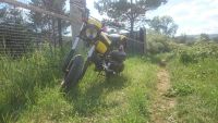 Лот: 10042733. Фото: 3. Suzuki Street Magic 2. Авто, мото, водный транспорт