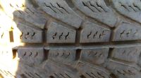 Лот: 12082348. Фото: 3. Шины на дисках Волга 195/65/15. Авто, мото, водный транспорт