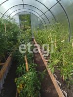 Лот: 25293033. Фото: 10. 1-комн. дача , СНТ Надежда СНТ...