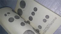 Лот: 9842802. Фото: 11. М. Максимов, Очерк о серебре...