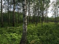 Лот: 4339184. Фото: 4. Участок 20 соток село Устюг ДНТ... Красноярск