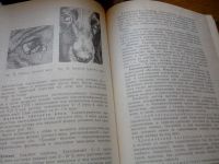 Лот: 10007969. Фото: 4. Болезни собак А.Д.Белов Е.П.Данилов... Красноярск