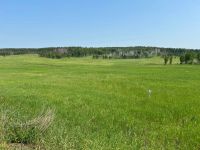 Лот: 25518738. Фото: 3. Участок 18 га.под покос. Недвижимость