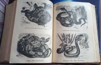 Лот: 25741615. Фото: 6. Настольный энциклопедический словарь...