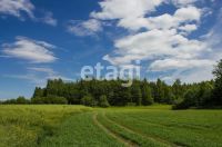 Лот: 25292827. Фото: 10. участок , СНТ Ладное СНТ Ладное...