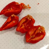 Лот: 12045816. Фото: 2. Семена Carolina Reaper (Каролина... Семена, рассада, садовые растения