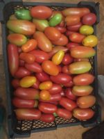 Лот: 19378057. Фото: 2. Помидоры сахарные. Продукты
