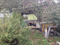 Лот: 8410733. Фото: 3. Земельный участок (Дивногорское... Недвижимость