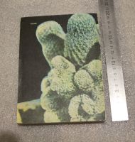 Лот: 20037830. Фото: 2. Книга о кактусах. Залетаева И... Детям и родителям