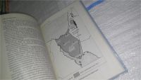Лот: 11533006. Фото: 7. Крылья возмездия. История ВВС...