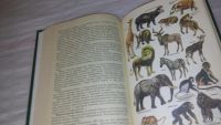Лот: 9687766. Фото: 3. oz Зоогеография, И.Лопатин, В... Литература, книги