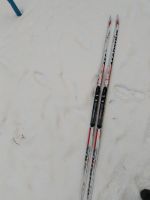 Лот: 15234297. Фото: 3. madshus redline. Спортивные товары