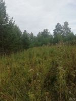Лот: 11615220. Фото: 2. земельный участок №67 СНТ Ранет. Продажа