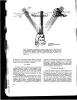 Лот: 9062853. Фото: 7. Учебный курс Мюнхенского Института...
