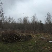 Лот: 1748150. Фото: 3. Участок на станции "Снежница". Недвижимость