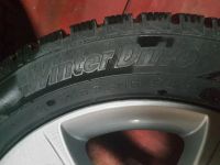Лот: 25278553. Фото: 2. Шины Cordiant Winter Drive 205... Шины, Диски