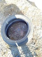 Лот: 10447964. Фото: 2. Шины Michelin. Шины, Диски