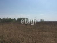 Лот: 25294909. Фото: 4. участок , садовые участки Штаны... Красноярск