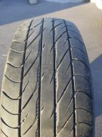 Лот: 19185245. Фото: 2. Шина Dunlop EC 201. Шины, Диски