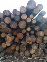 Лот: 14797044. Фото: 3. Лиственница кругляк. Строительство и ремонт