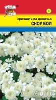 Лот: 12976583. Фото: 2. Семена хризантемы девичьей "Сноу... Семена, рассада, садовые растения