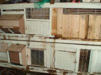 Лот: 286476. Фото: 3. дачный участок 3а 3ыково платформа... Недвижимость