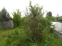 Лот: 9731371. Фото: 4. Дача, участок, дом в Снежнице. Красноярск