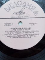 Лот: 8038406. Фото: 5. пластинка 15 Голоса птиц в природе