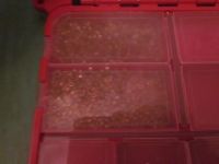 Лот: 3926284. Фото: 4. Чемоданчик под мелочи (бисер и...