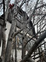 Лот: 25794022. Фото: 4. 2-комн. дача , СПК Строитель СПК... Красноярск